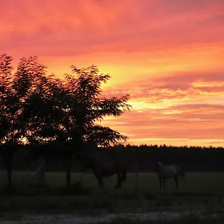 Farm stay Mimi Boutique Farm & Cuisine Niekursko