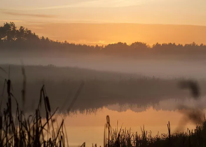 Mimi Boutique Farm & Cuisine Farm stay Niekursko