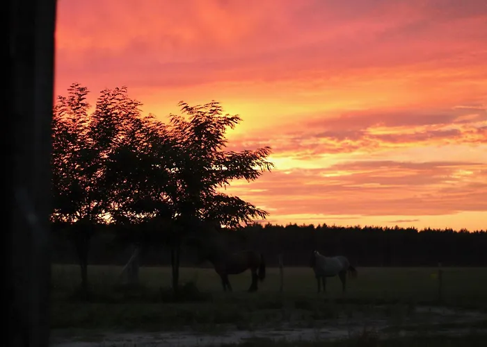 Farm stay Mimi Boutique Farm & Cuisine Niekursko