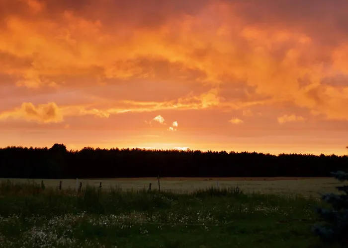 Mimi Boutique Farm & Cuisine